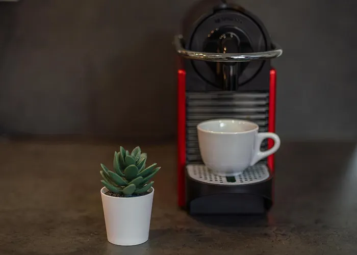 L'envolée - Gare - Netflix - Garage Privé Appartement